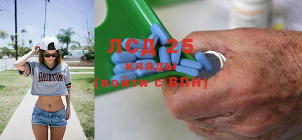 прущие грибы Горняк