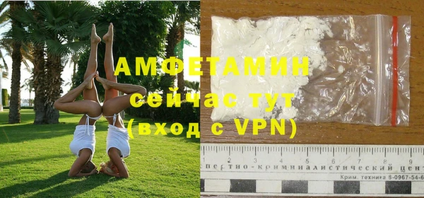прущие грибы Горняк