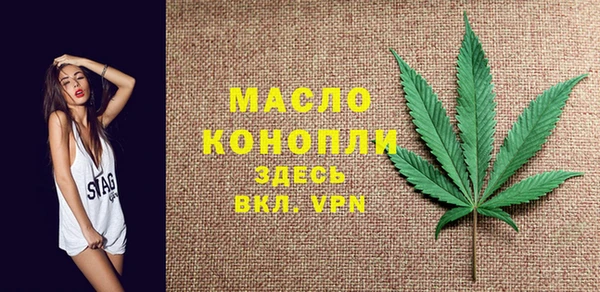 прущие грибы Горняк
