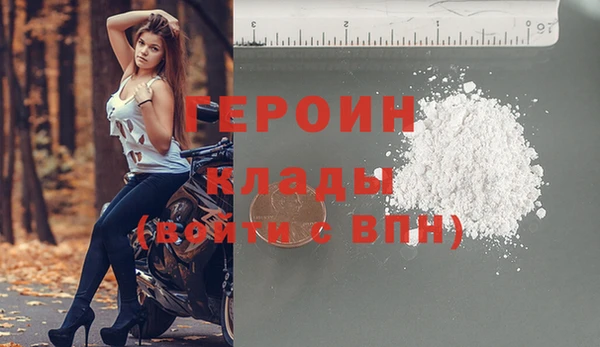 прущие грибы Горняк