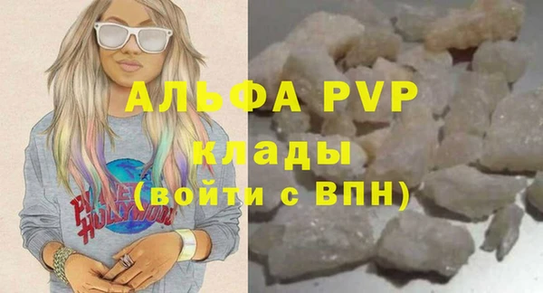 прущие грибы Горняк